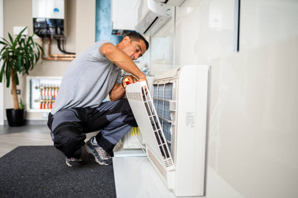 Best Affordable Air Duct Cleaning  in Cheswold, DE