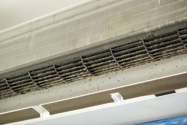 Best Air Duct Cleaning Cost  in Cheswold, DE