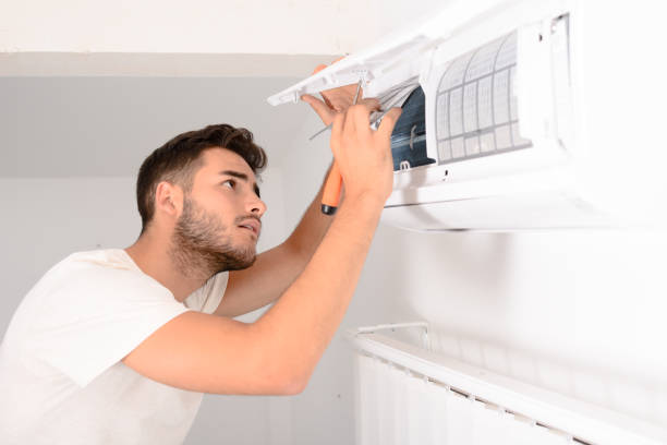 Best Air Duct Sanitizing Services  in Cheswold, DE